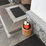 شاليه Aue هارت إم زيلرتال